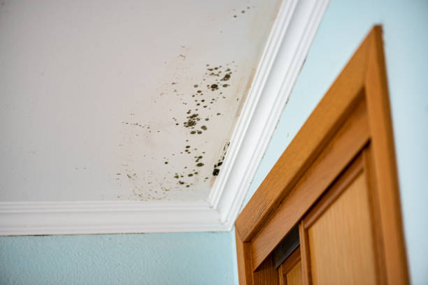 Water Damage Restoration in Greenwood, IN